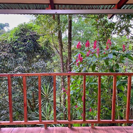 Princesa De La Luna Ecolodge La Fortuna Bagian luar foto