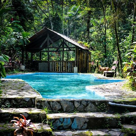 Princesa De La Luna Ecolodge La Fortuna Bagian luar foto