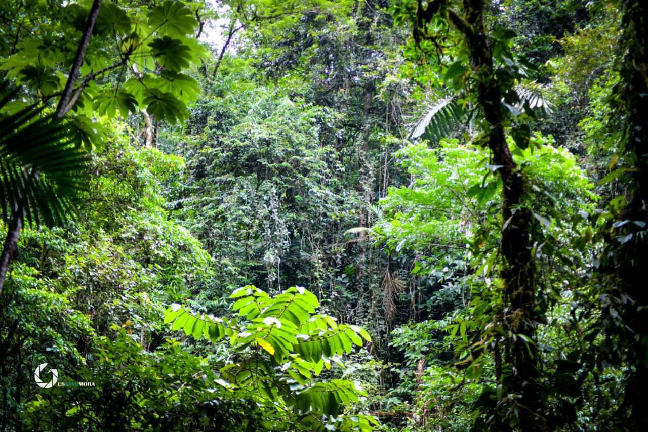 Princesa De La Luna Ecolodge La Fortuna Bagian luar foto