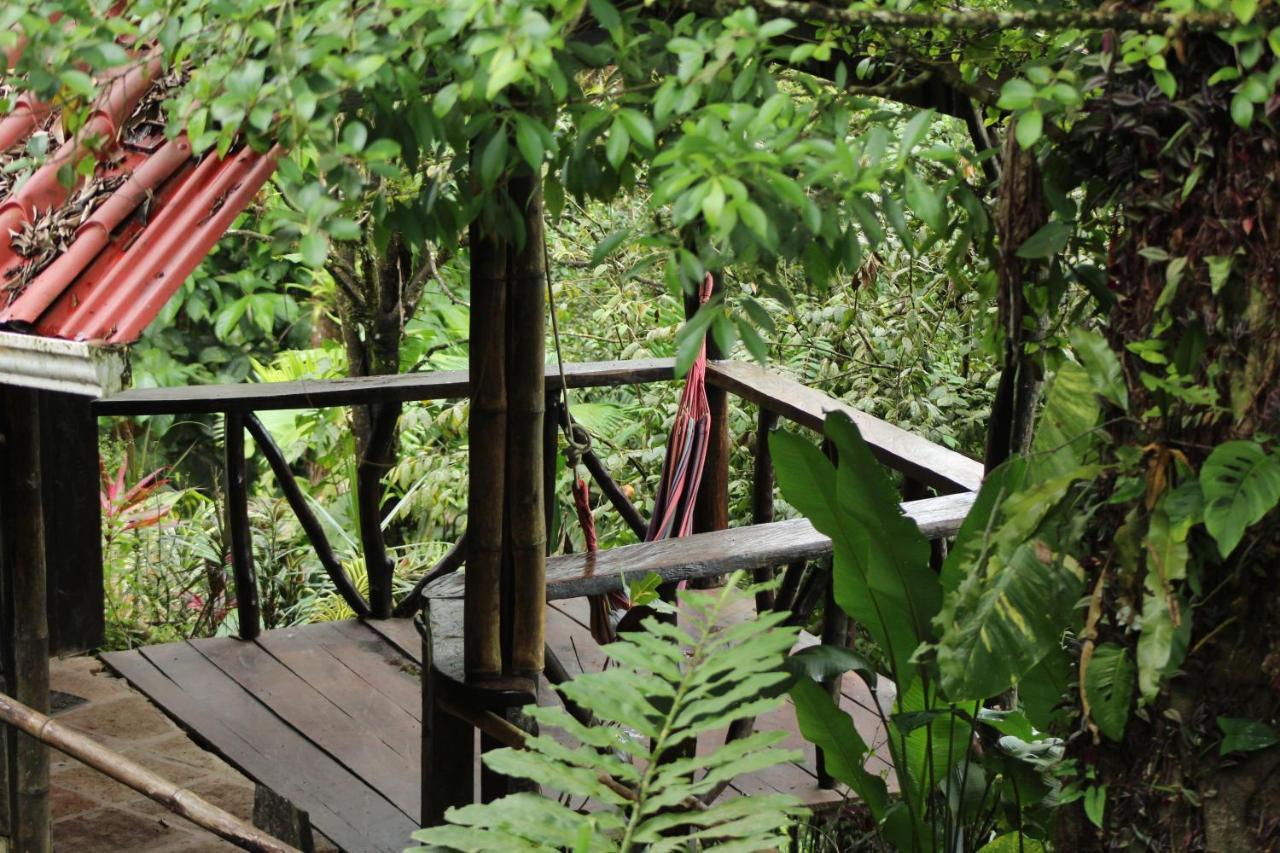Princesa De La Luna Ecolodge La Fortuna Bagian luar foto