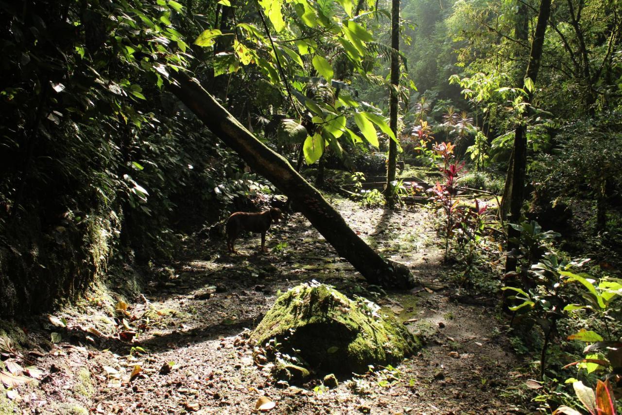 Princesa De La Luna Ecolodge La Fortuna Bagian luar foto
