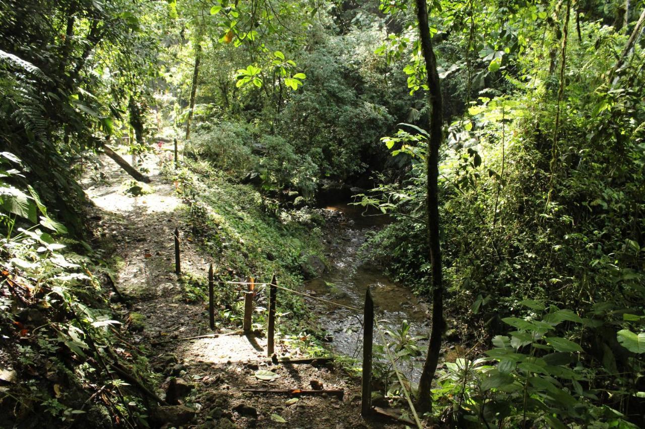 Princesa De La Luna Ecolodge La Fortuna Bagian luar foto