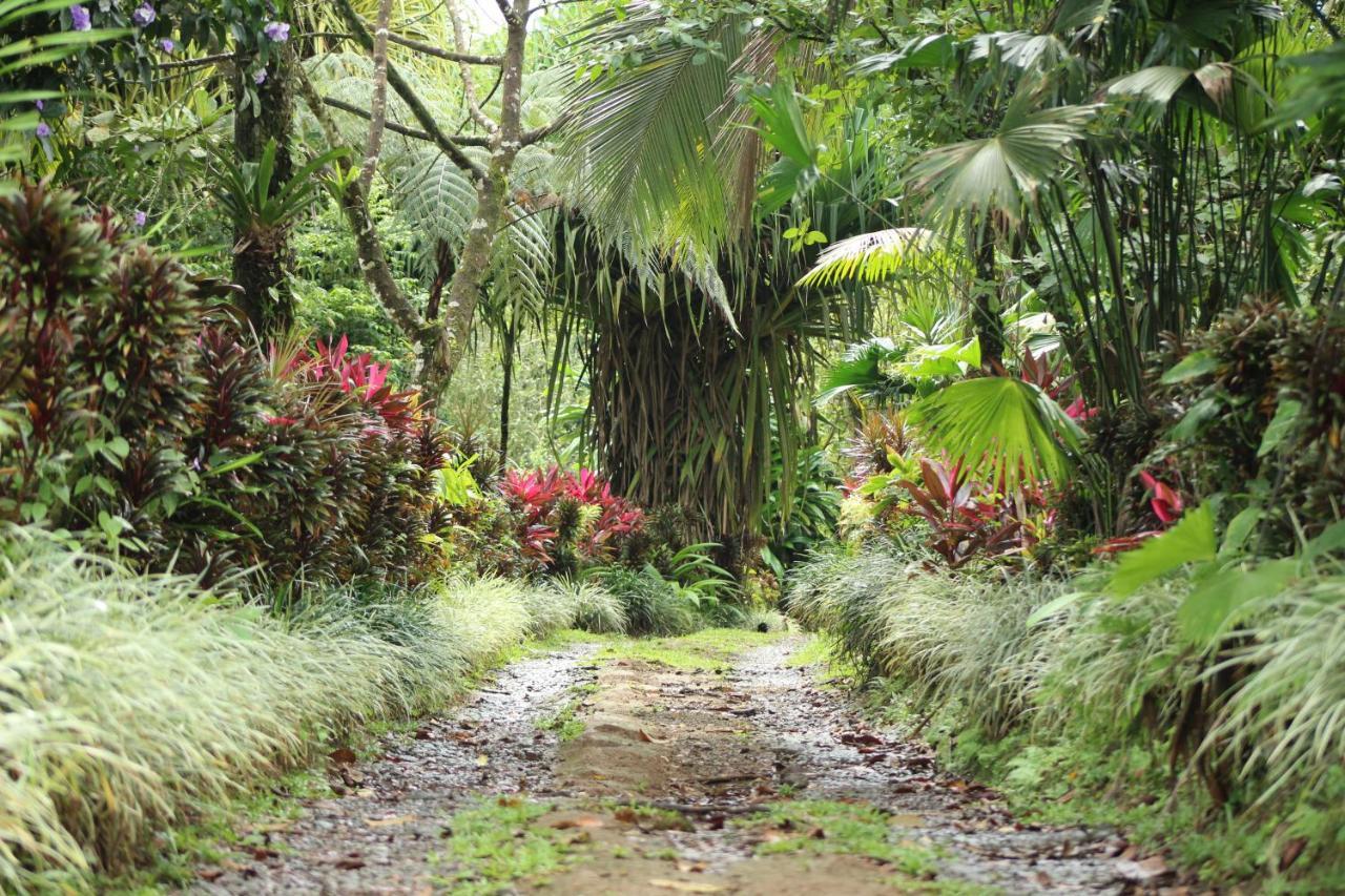 Princesa De La Luna Ecolodge La Fortuna Bagian luar foto