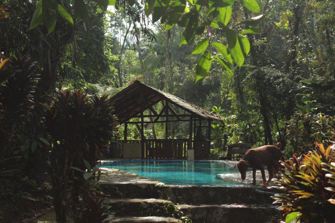 Princesa De La Luna Ecolodge La Fortuna Bagian luar foto