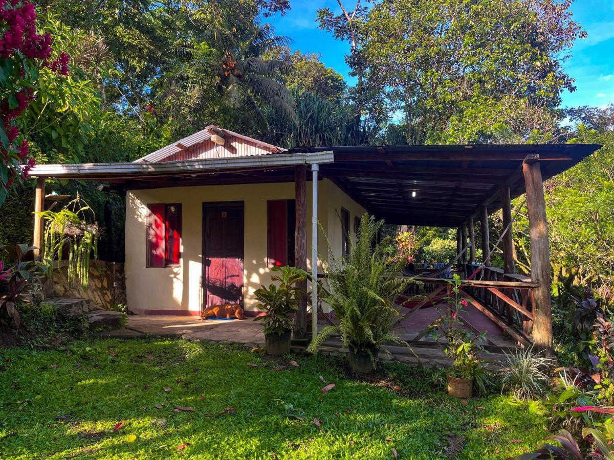 Princesa De La Luna Ecolodge La Fortuna Bagian luar foto