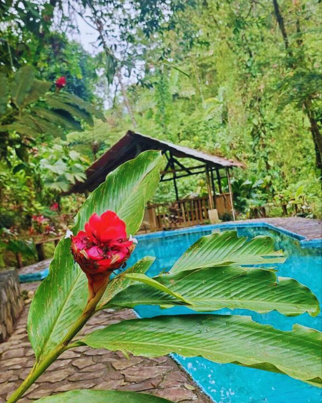 Princesa De La Luna Ecolodge La Fortuna Bagian luar foto