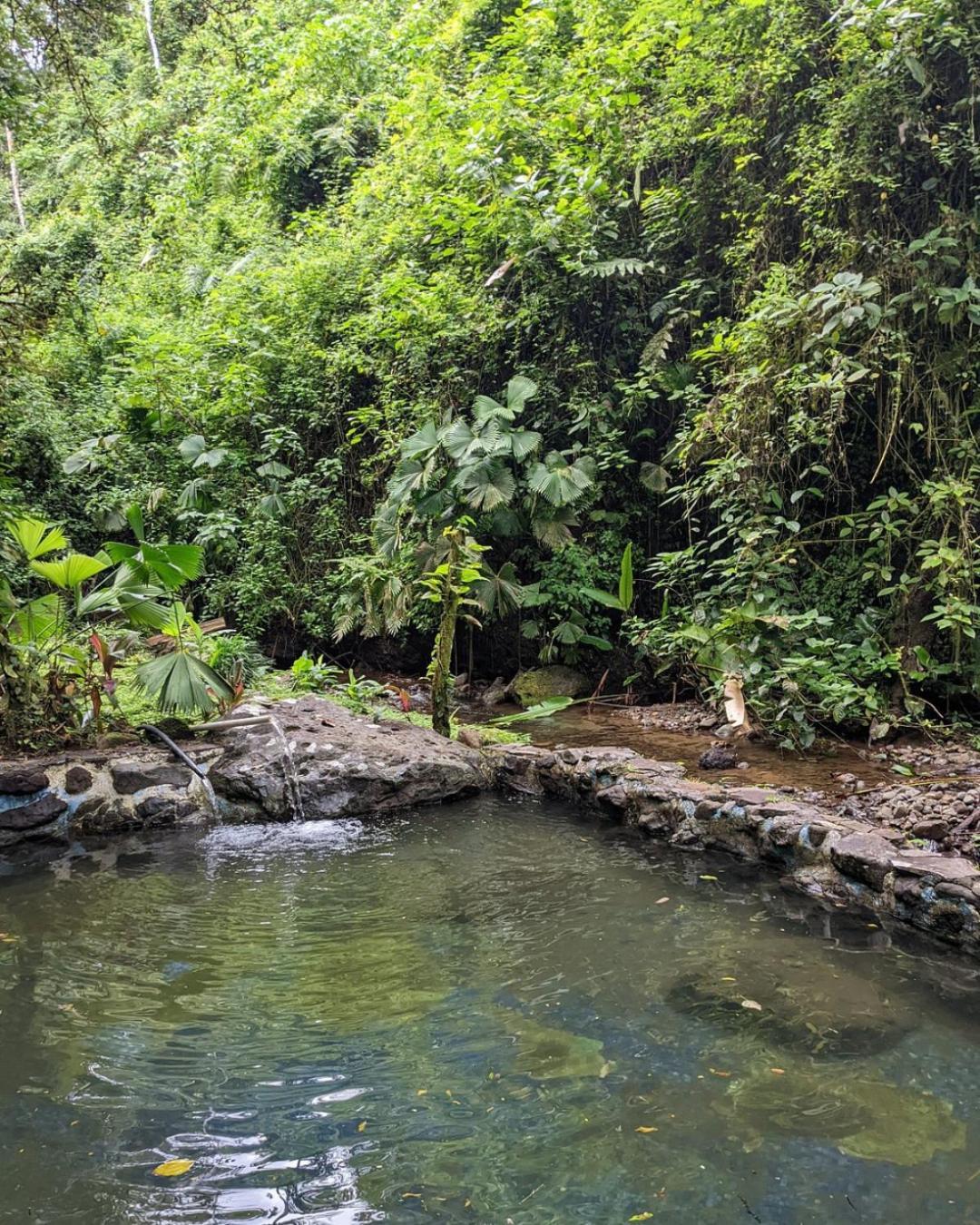 Princesa De La Luna Ecolodge La Fortuna Bagian luar foto