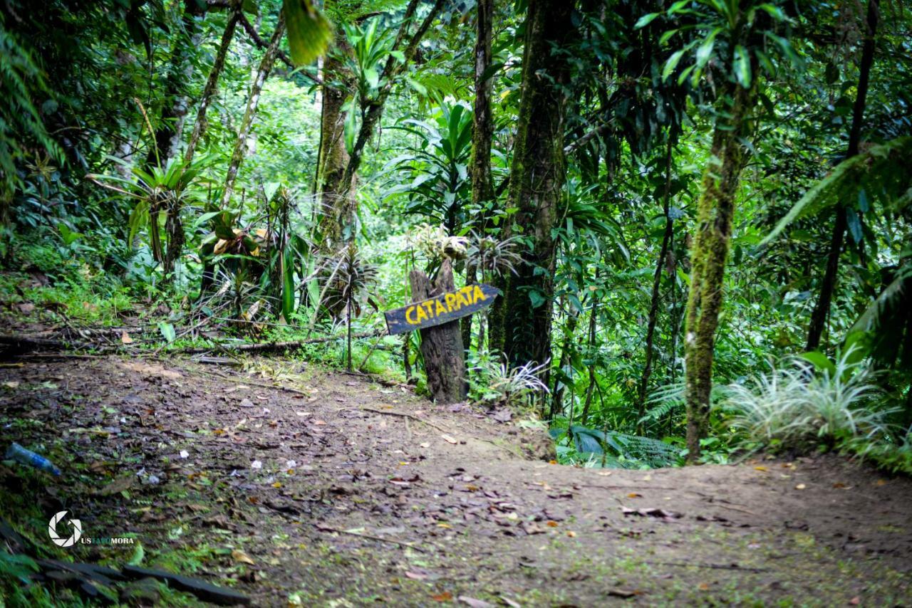 Princesa De La Luna Ecolodge La Fortuna Bagian luar foto