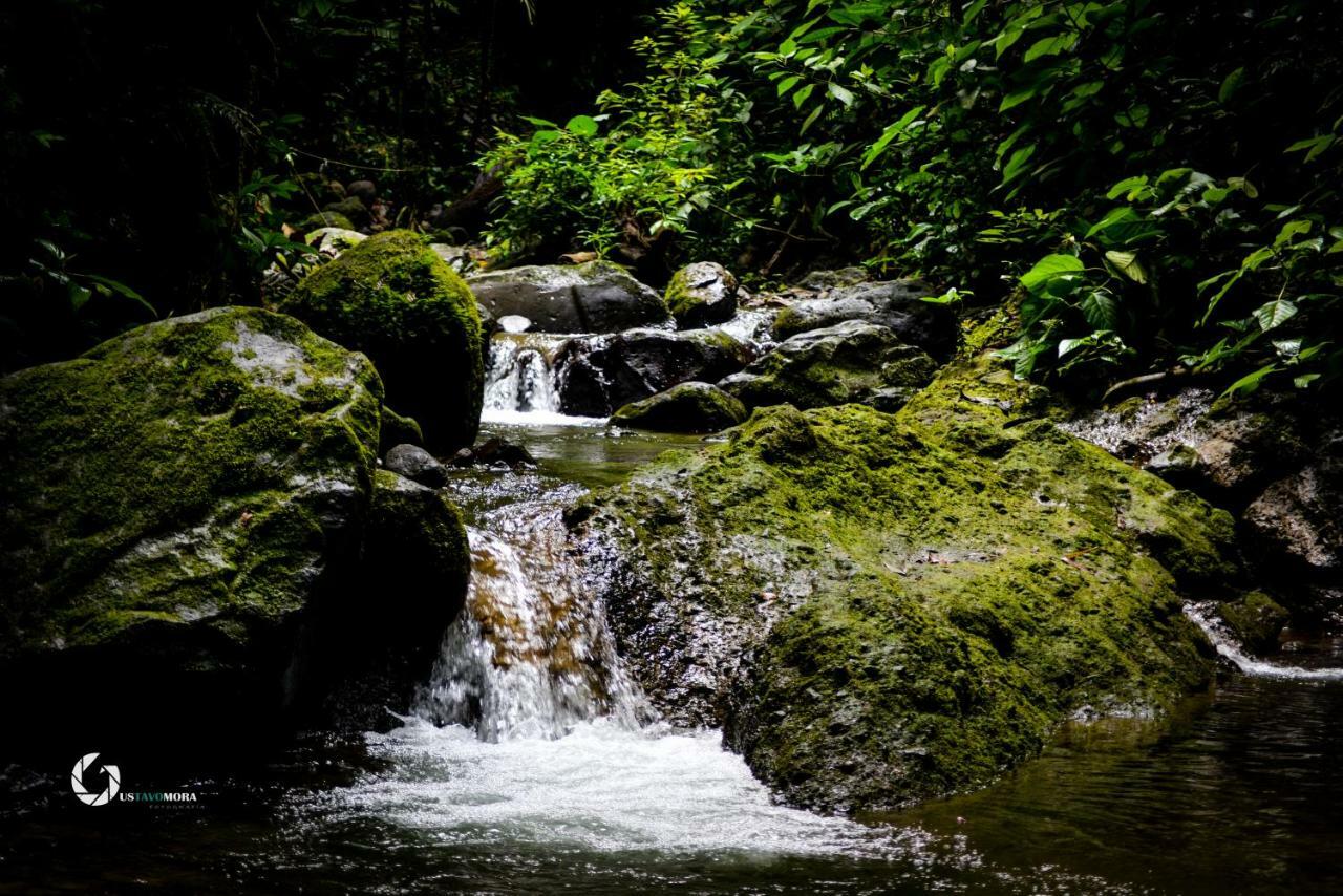 Princesa De La Luna Ecolodge La Fortuna Bagian luar foto